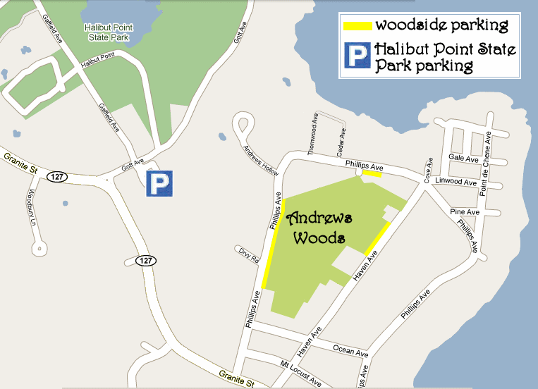 Parking Map